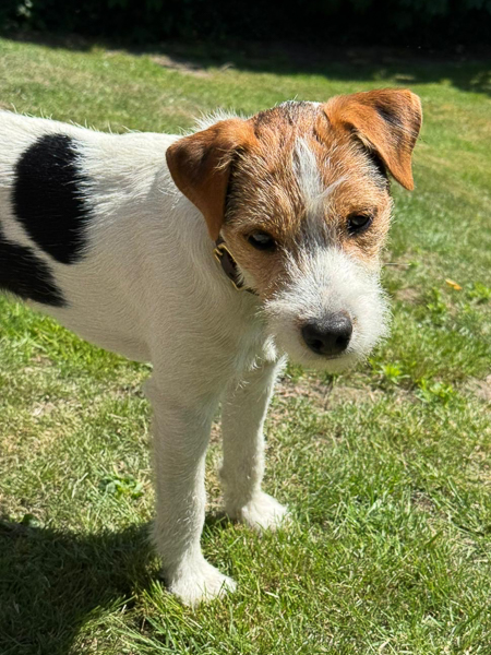 Oskar